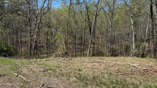 $25,000 | 475 Bayside Boulevard, Bean Station, TN 37708