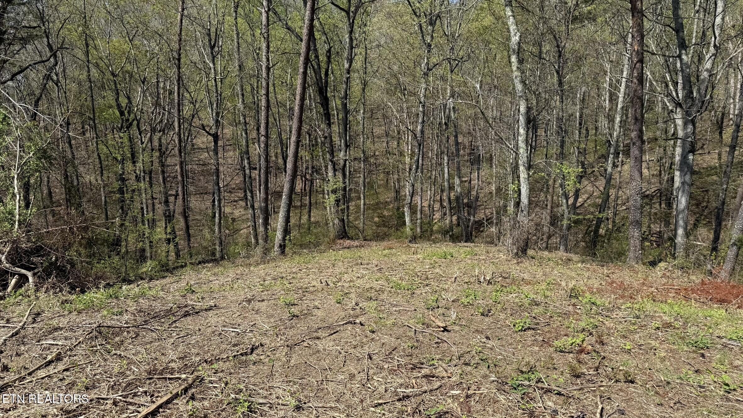 475 Bayside Boulevard Bean Station, TN 37708 - Photo 5 of 6 IMG_3443