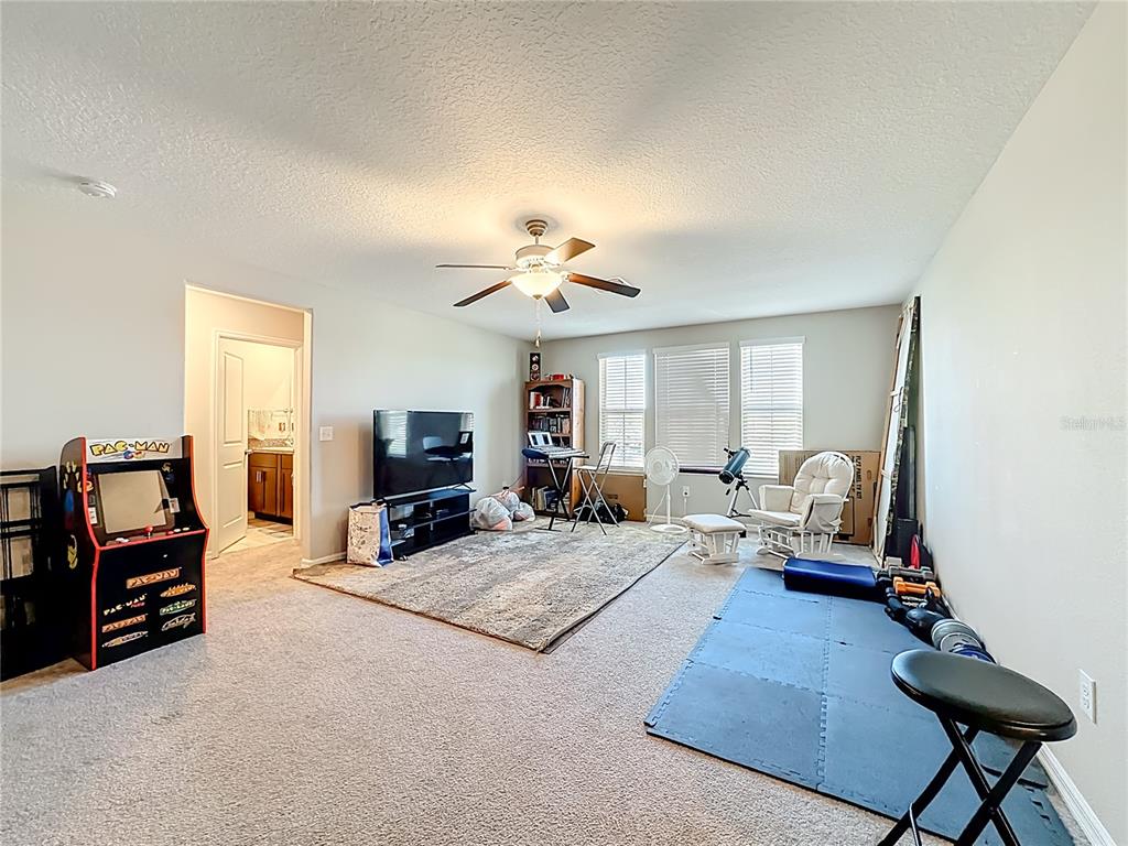 1511 Tiger Tooth Place Ruskin, FL 33570 - Photo 39 of 59 a living room with furniture and a flat screen tv