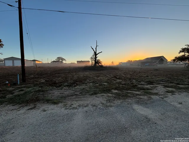 a view of a dry yard