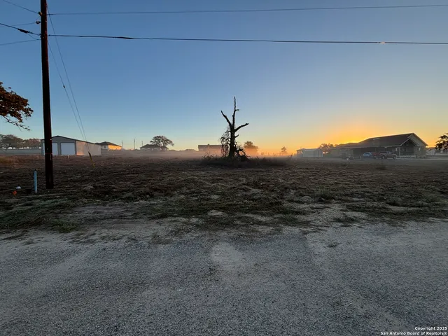 a view of a dry yard