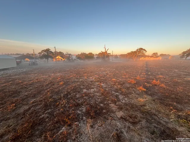 a view of a dry yard