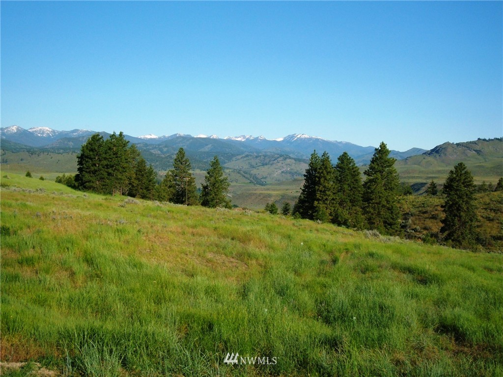 20 Sawtooth View Road Pateros, WA 98846 - Photo 21 of 25