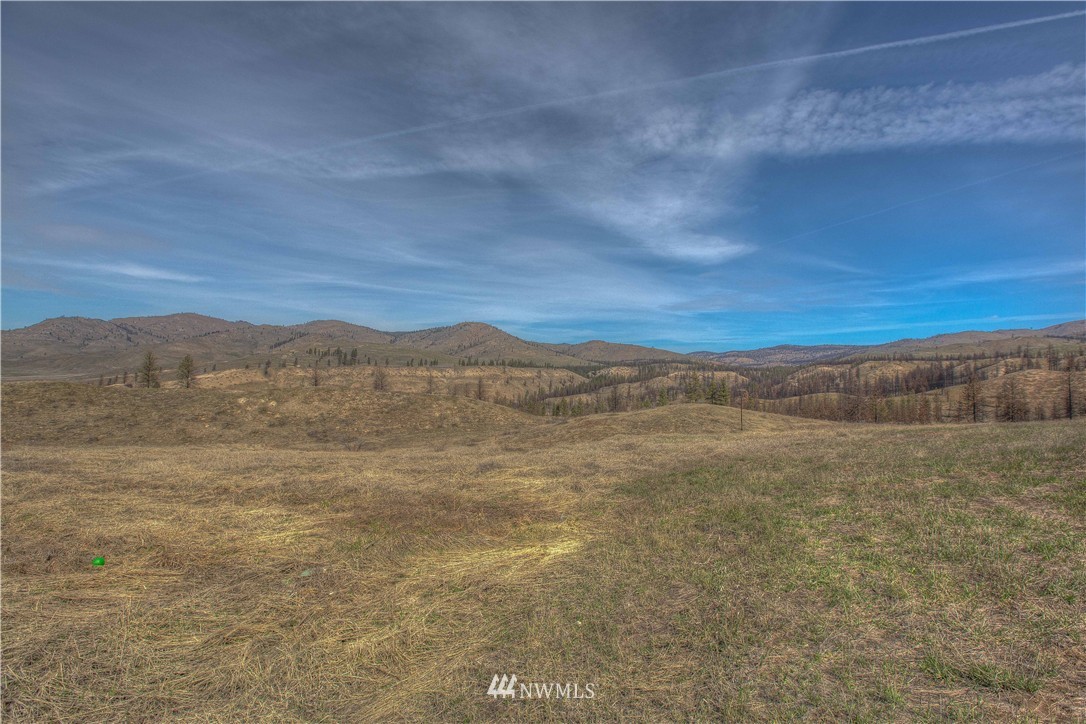 20 Sawtooth View Road Pateros, WA 98846 - Photo 24 of 25