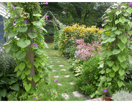 5 Longview Street Natick, MA 01760 - Photo 9 of 12 a picture of flowers