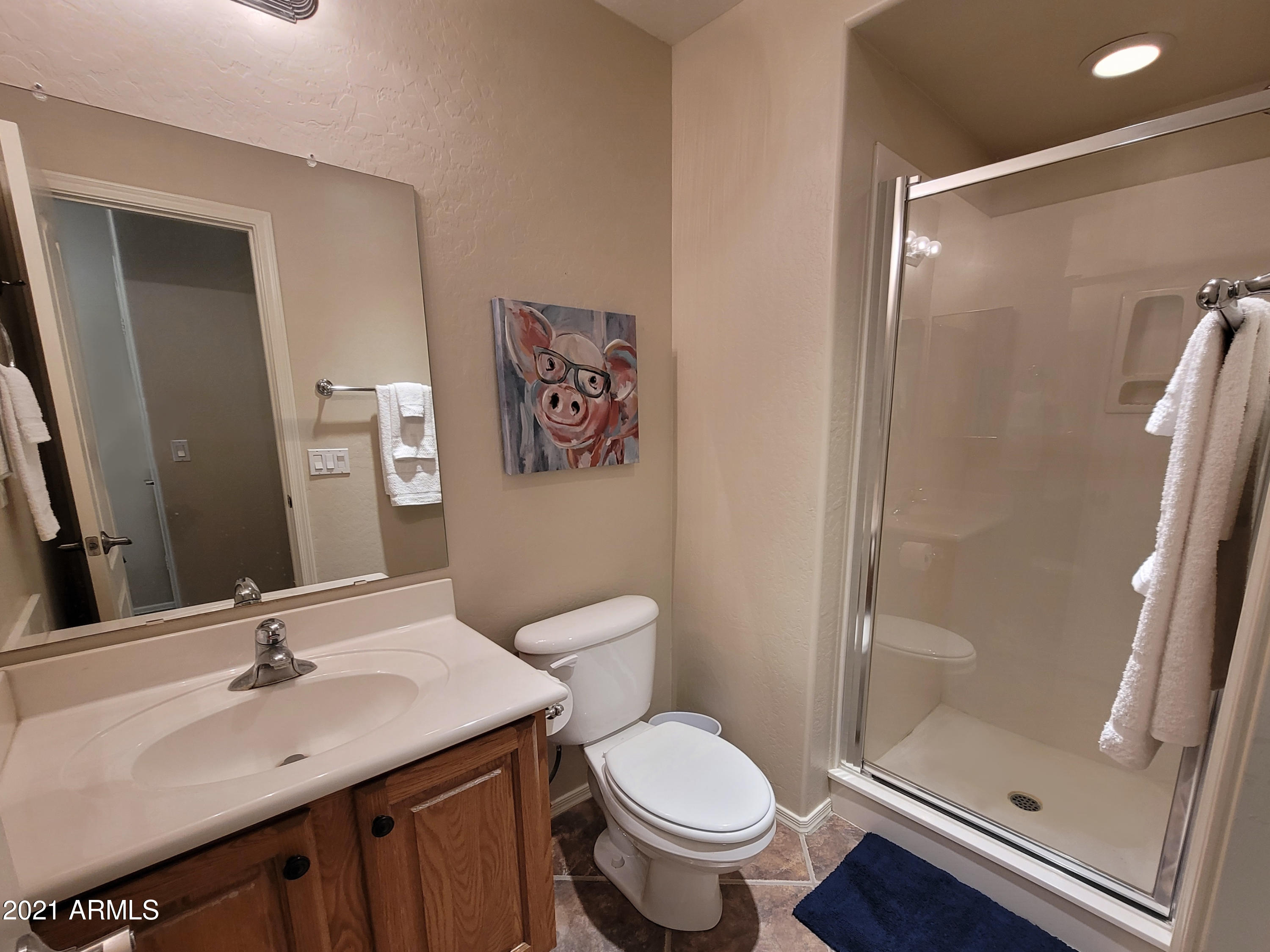 4115 North Boulder Canyon Mesa, AZ 85207 - Photo 19 of 62 Full Bath Downstairs