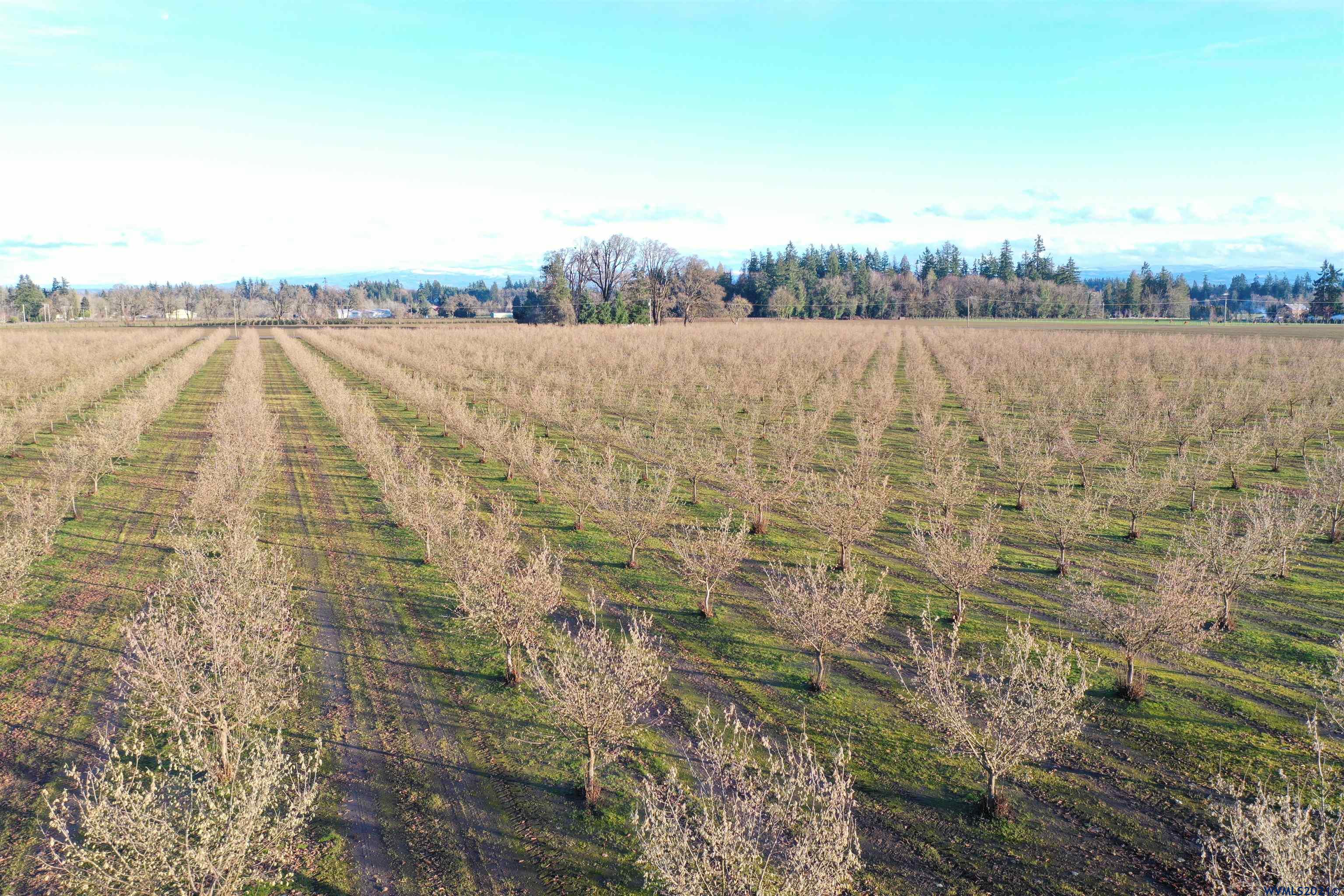 17383 Monnier Road Northeast Hubbard, OR 97032 - Photo 34 of 34