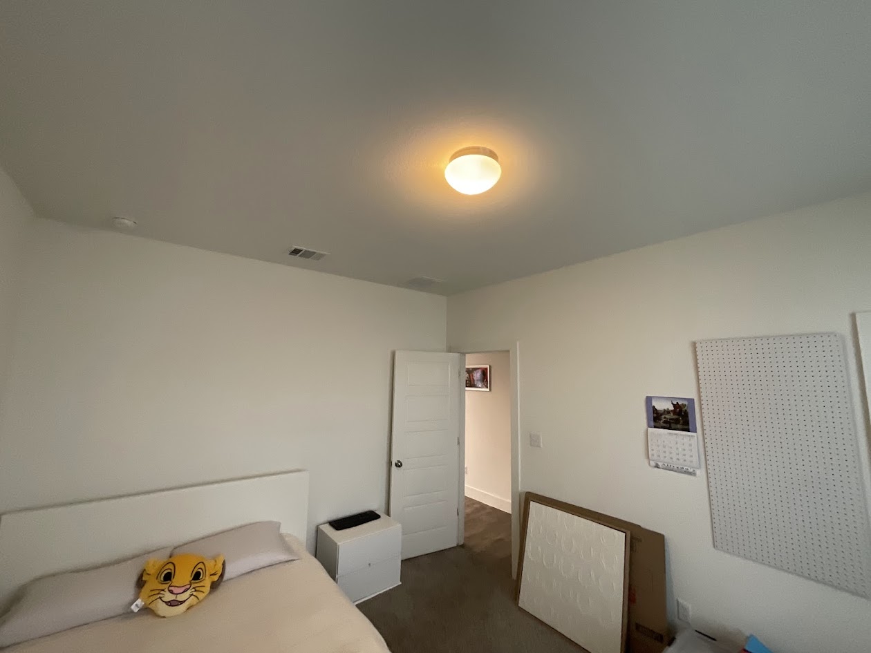 624 Golden Glory Road Leander, TX 78641 - Photo 23 of 39 Neutral-toned room featuring a ceiling-mounted light fixture, white walls, and carpet flooring