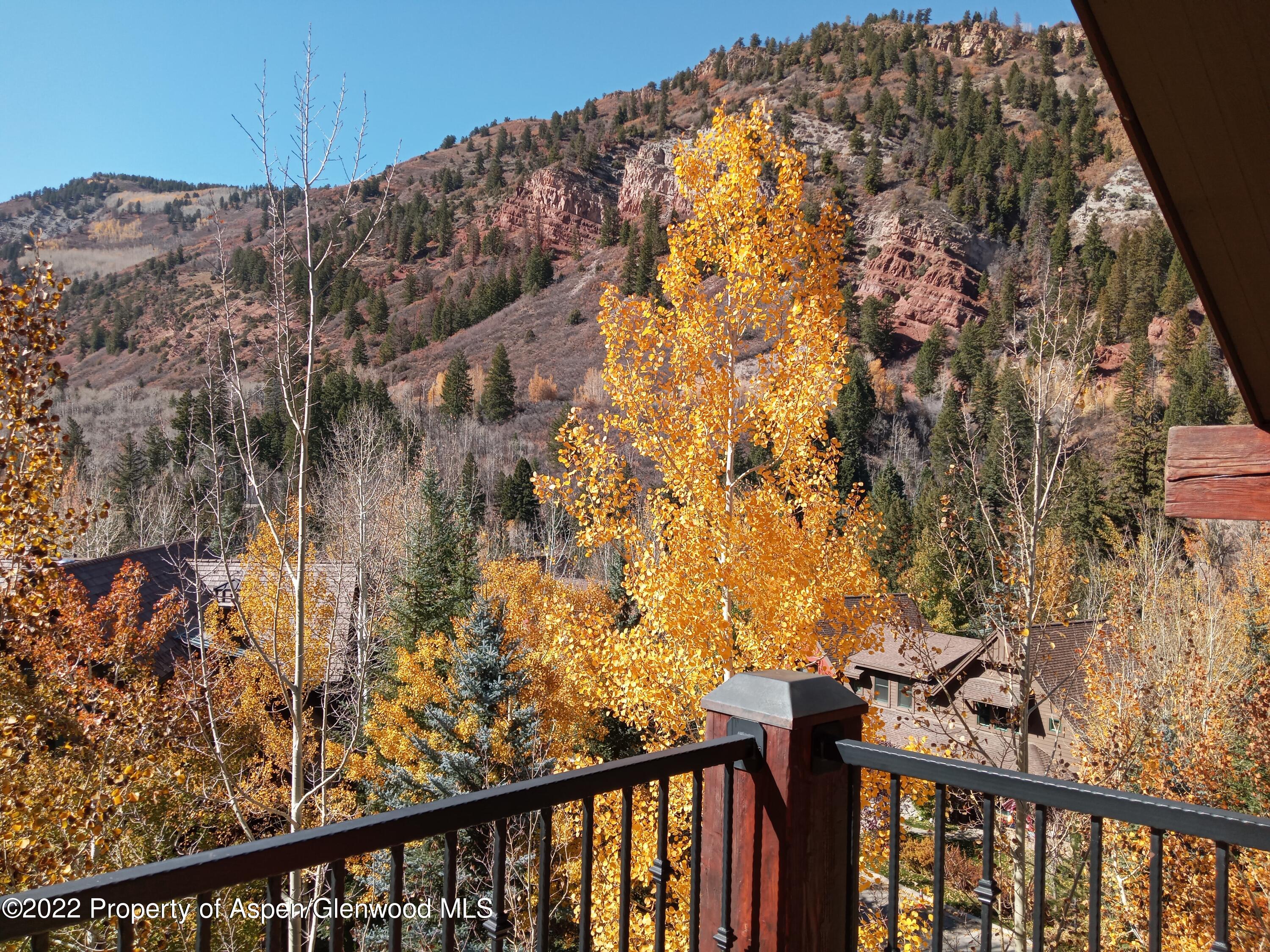 39 Boomerang Road, Unit 8415 WINTER INTEREST 5 Aspen, CO 81611 - Photo 31 of 33 20221021_130722