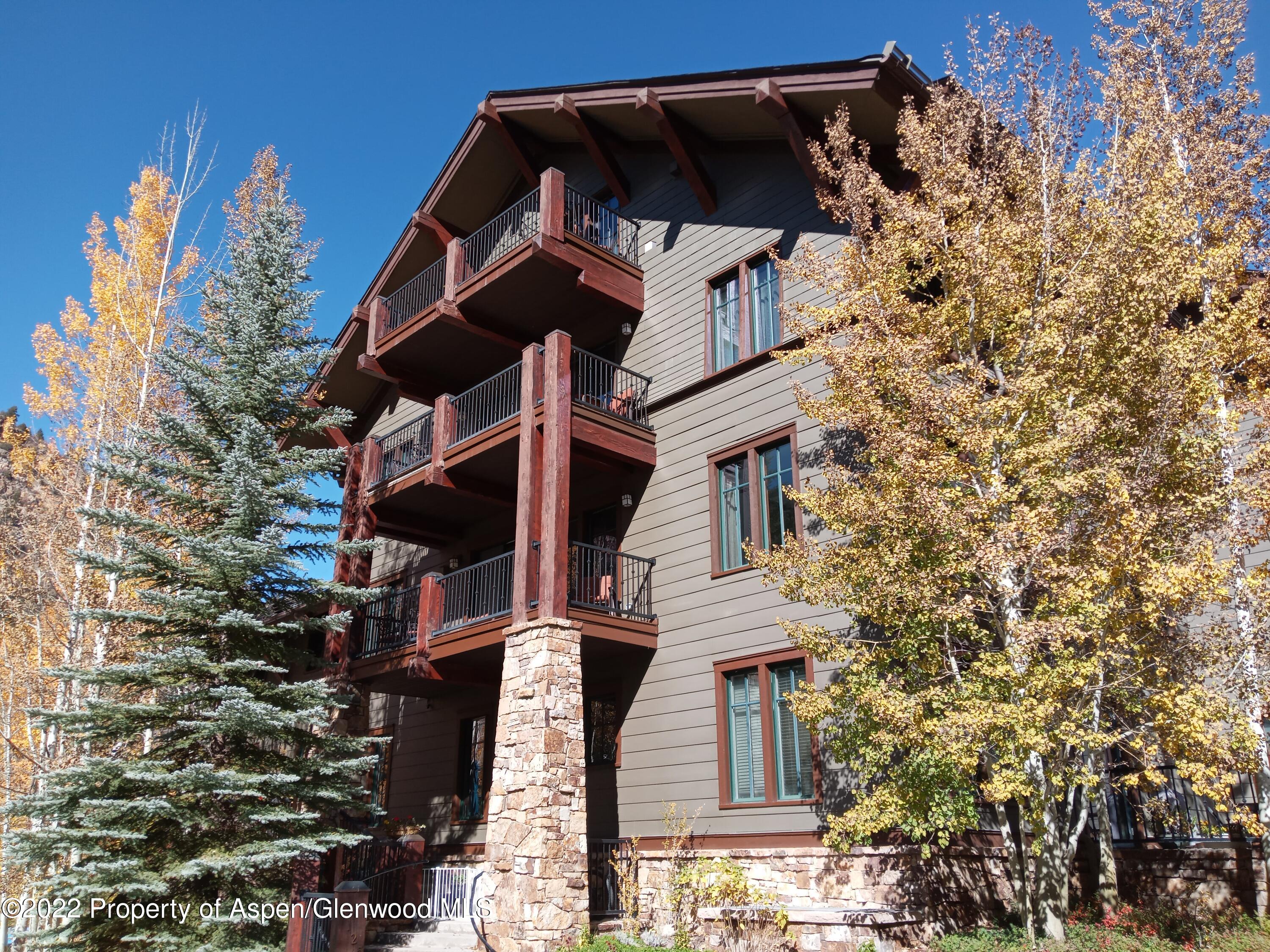 39 Boomerang Road, Unit 8415 WINTER INTEREST 5 Aspen, CO 81611 - Photo 33 of 33 20221021_141636