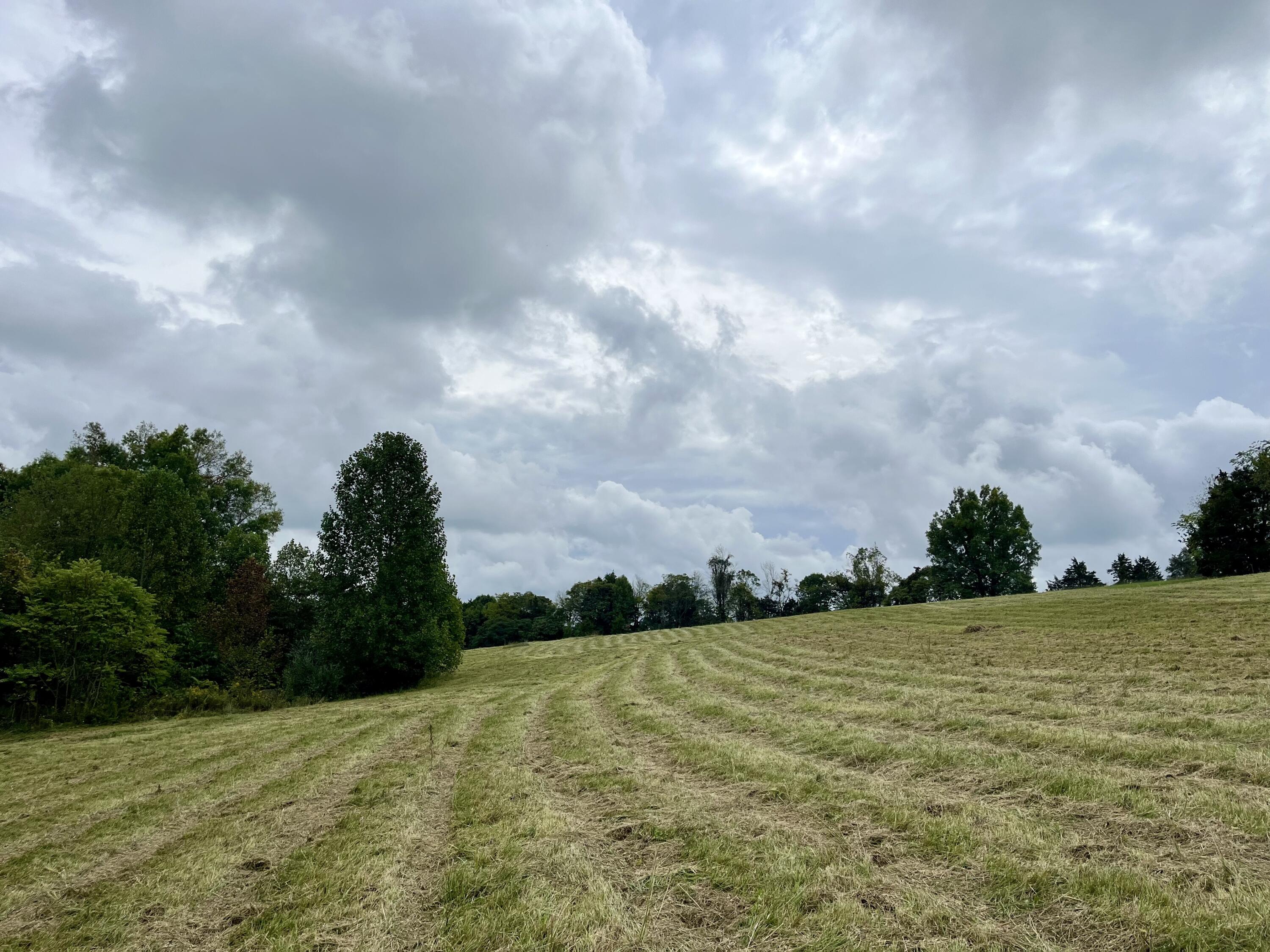 Lot 5 Smith Ridge Road Eubank, KY 42567 - Photo 11 of 24 IMG_4425 2