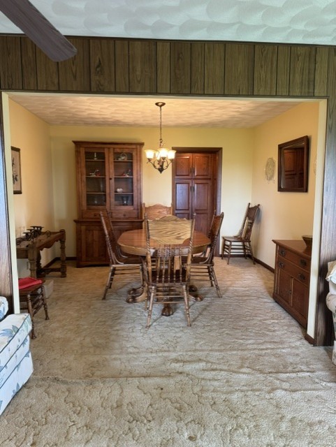 428 Overlook Court Geneseo, IL 61254 - Photo 15 of 55