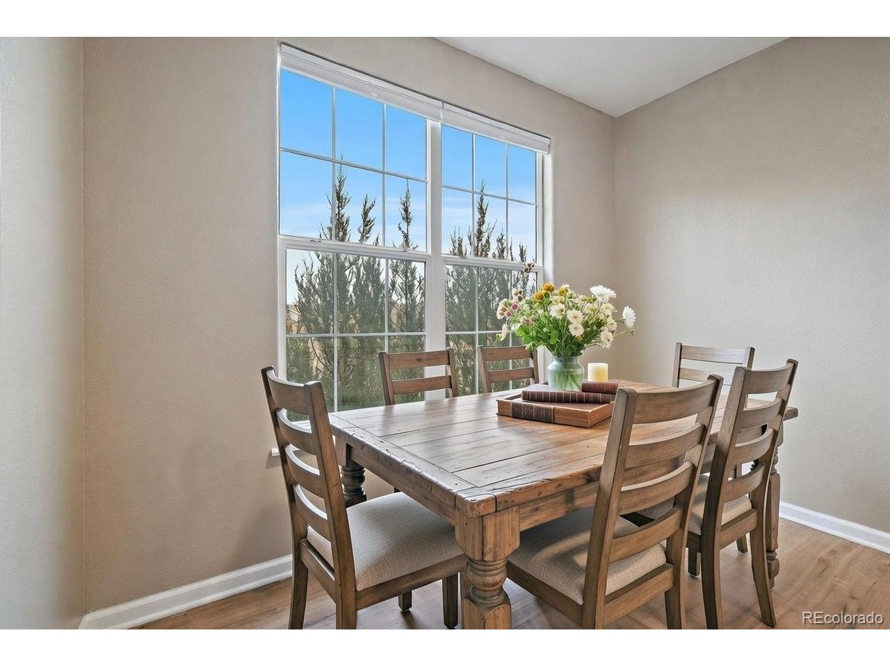 18611 Stroh Road, Unit 102 Parker, CO 80134 - Photo 12 of 23 Spacious dining room (virtually staged)