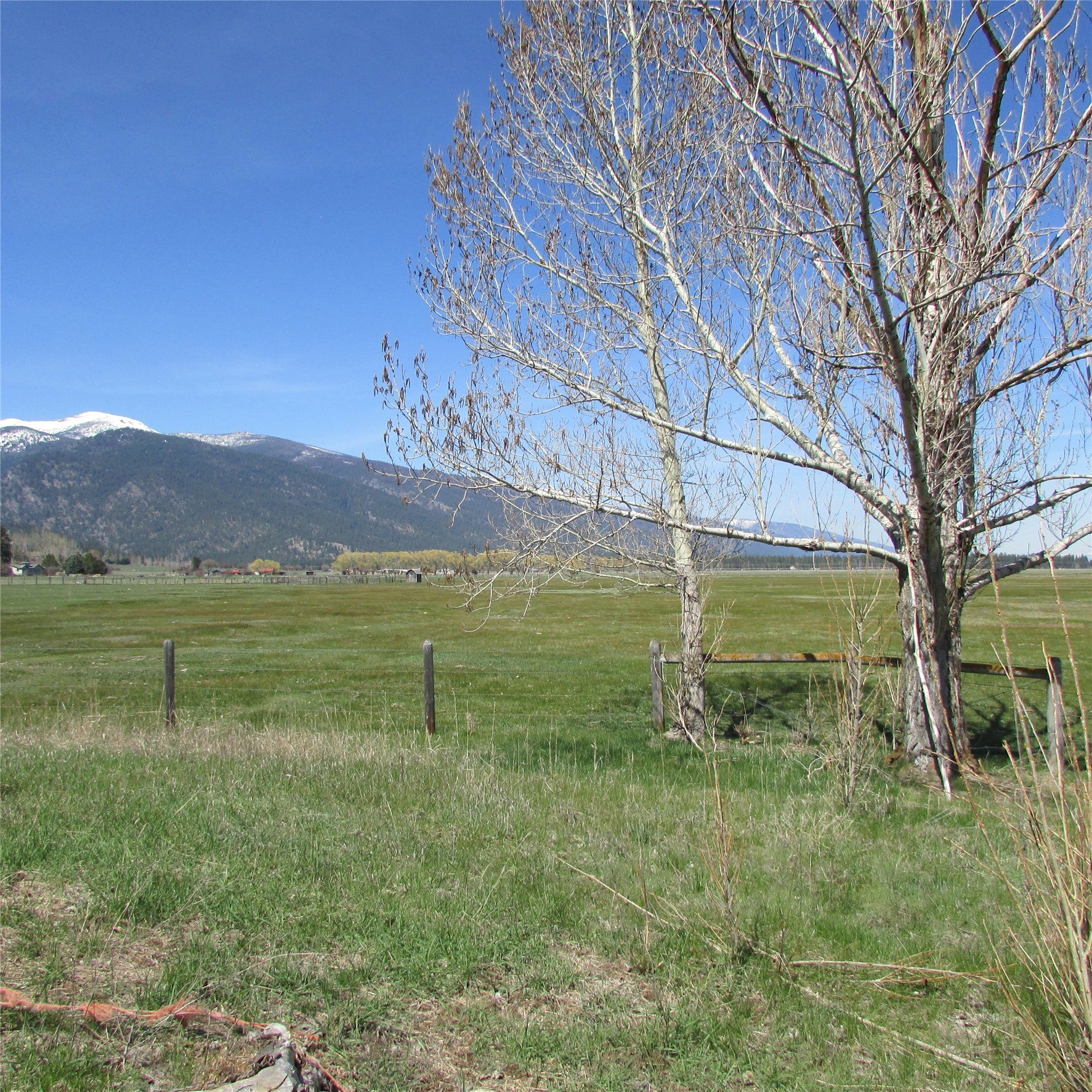 Nhn Meridian Road Victor, MT 59875 - Photo 14 of 24 Gallery Image 14