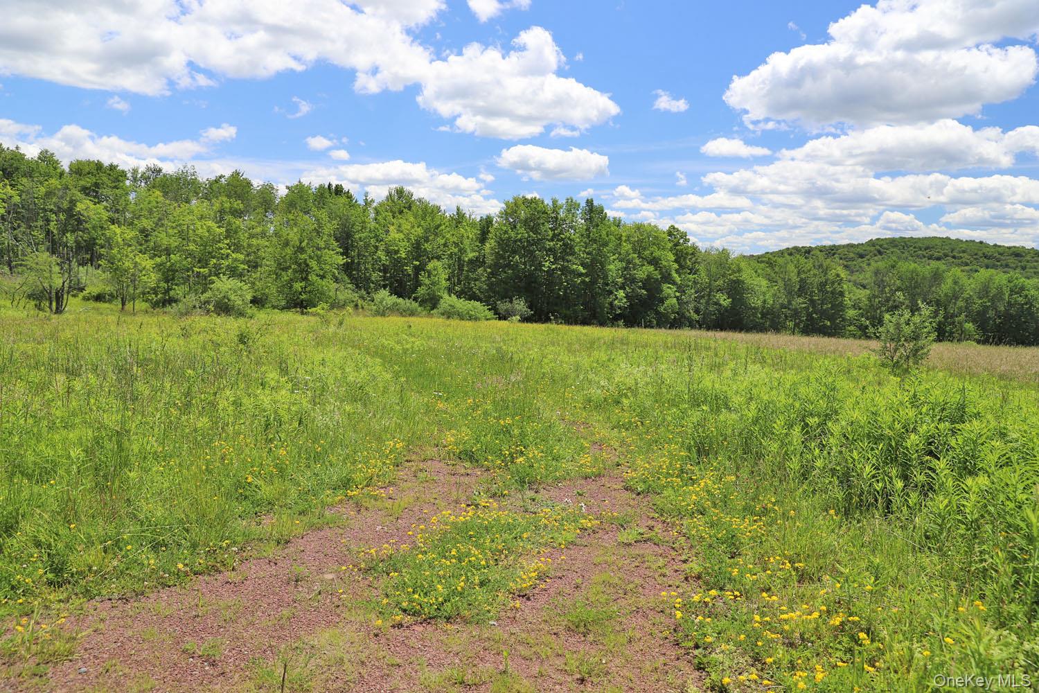 Dietz Road Callicoon Center, NY 12724 - Photo 3 of 24 Driveway