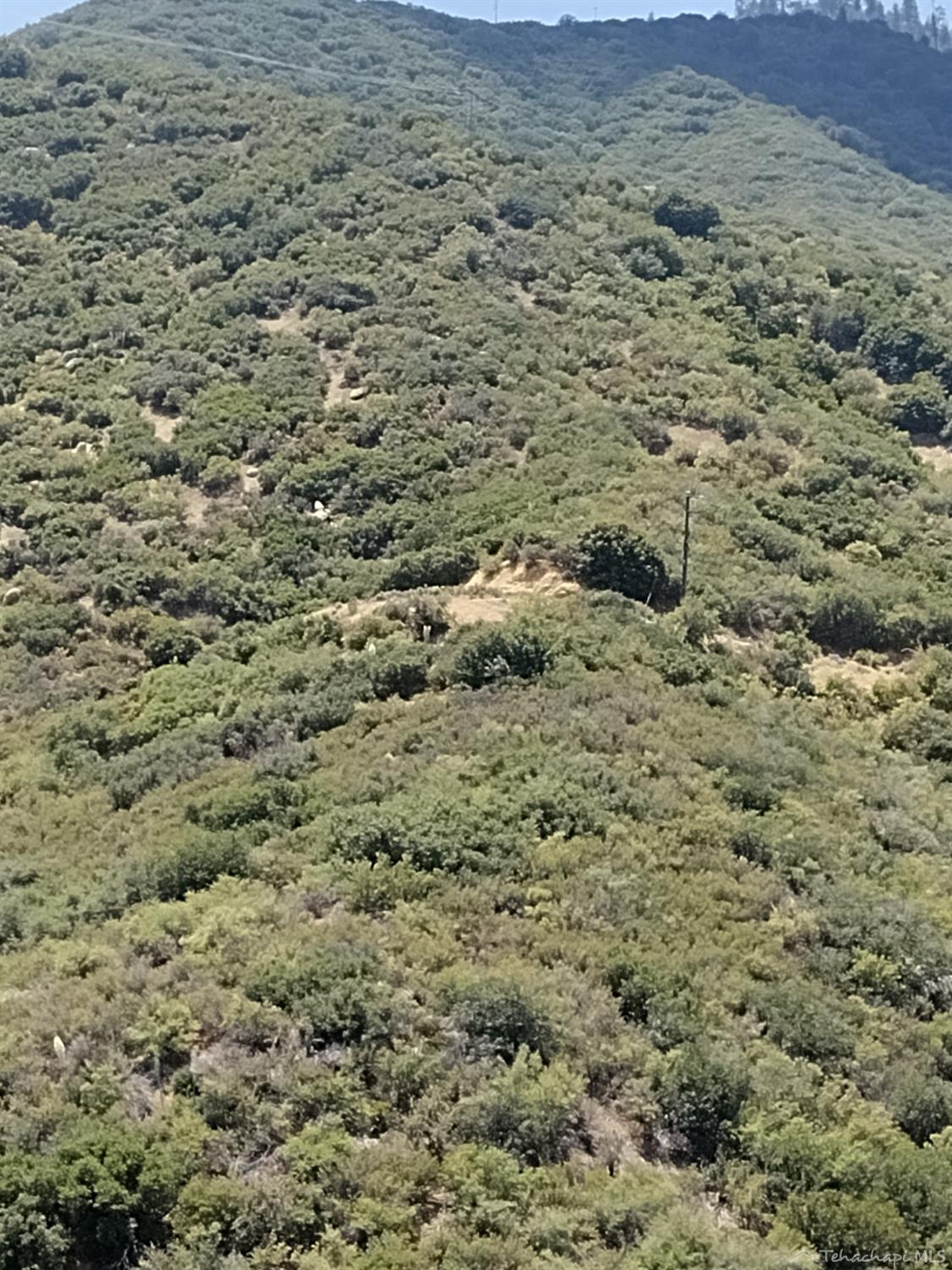 0 Pine Spring Road Caliente, CA 93518 - Photo 16 of 34 Gallery Image 16