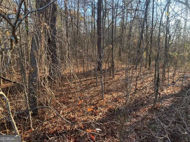 $3,000,000 | 15 Hwy 11, Monroe, GA 30655