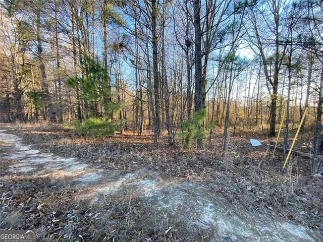 $3,000,000 | 15 Hwy 11, Monroe, GA 30655