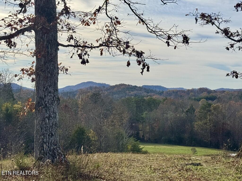 2 Three Point Road Vonore, TN 37885 - Photo 1 of 13 05523DE5-E5FB-402C-9B63-093CB8F4DC15_1_1