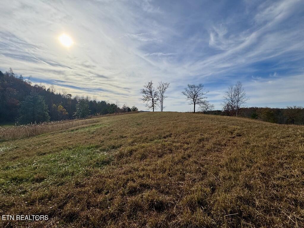 2 Three Point Road Vonore, TN 37885 - Photo 10 of 13 3E033B5F-1CD2-4145-A3C6-AF8486905057_1_1