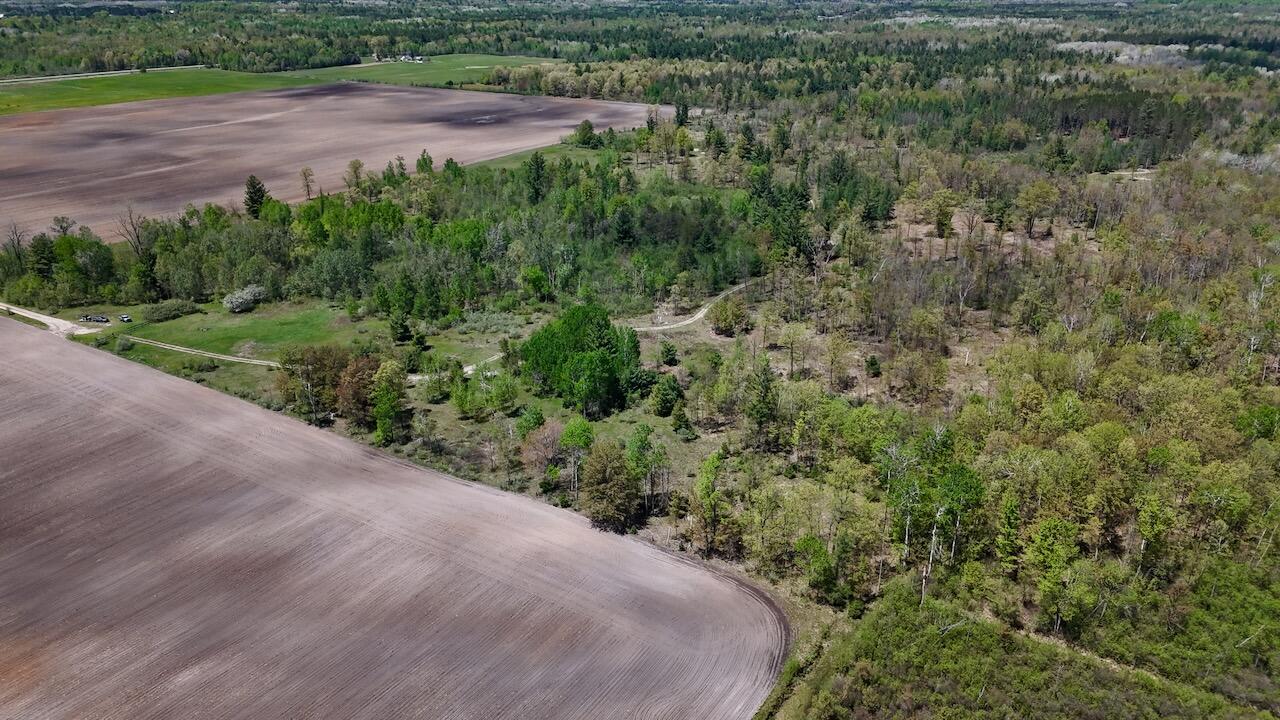 La Grant Road Alger, MI 48610 - Photo 3 of 46 003