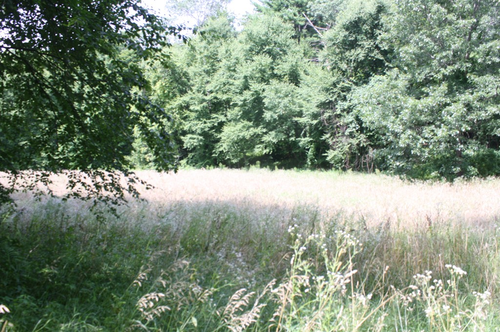 Lot 1 A River Road Deerfield, MA 01342 - Photo 2 of 2 Gallery Image 2