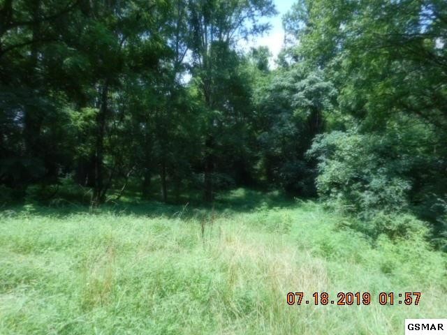 3638 Big Springs Ridge Road Friendsville, TN 37737 - Photo 19 of 31 Gallery Image 19