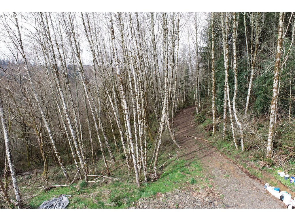 0 Mountain View Road Kalama, WA 98625 - Photo 11 of 30 a view of outdoor space with wooden floor