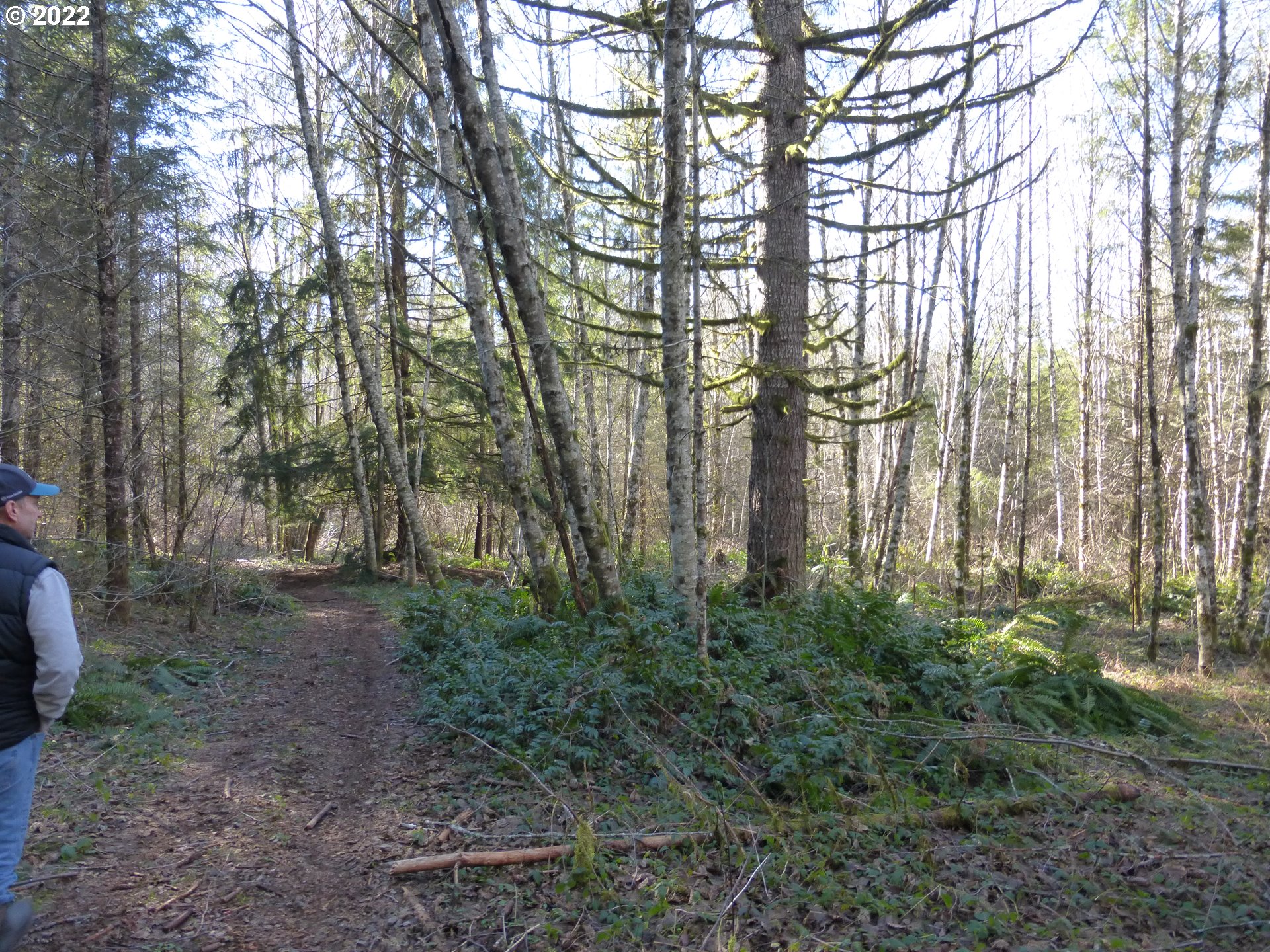 0 Mountain View Road Kalama, WA 98625 - Photo 15 of 30 a backyard of a house with lots of green space