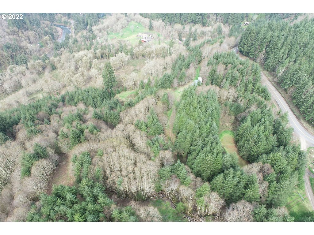 0 Mountain View Road Kalama, WA 98625 - Photo 18 of 30 a view of a forest with lots of trees