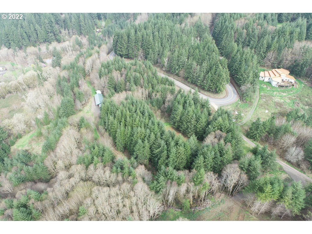 0 Mountain View Road Kalama, WA 98625 - Photo 19 of 30 a view of a forest with a street