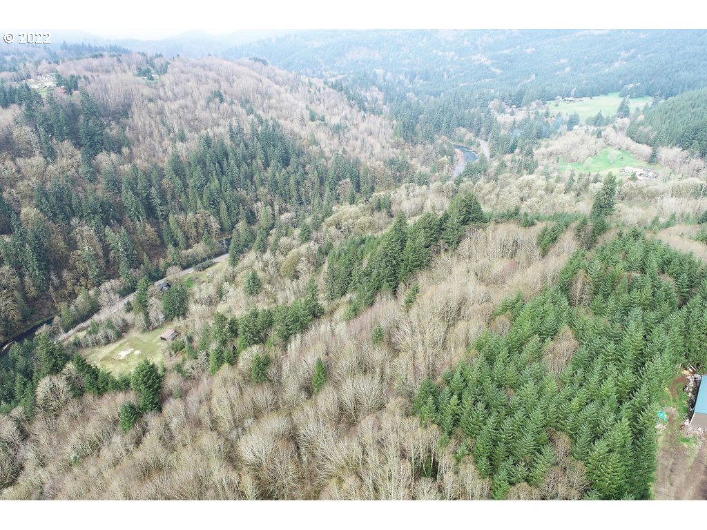0 Mountain View Road Kalama, WA 98625 - Photo 20 of 30 a view of a forest with trees in the background