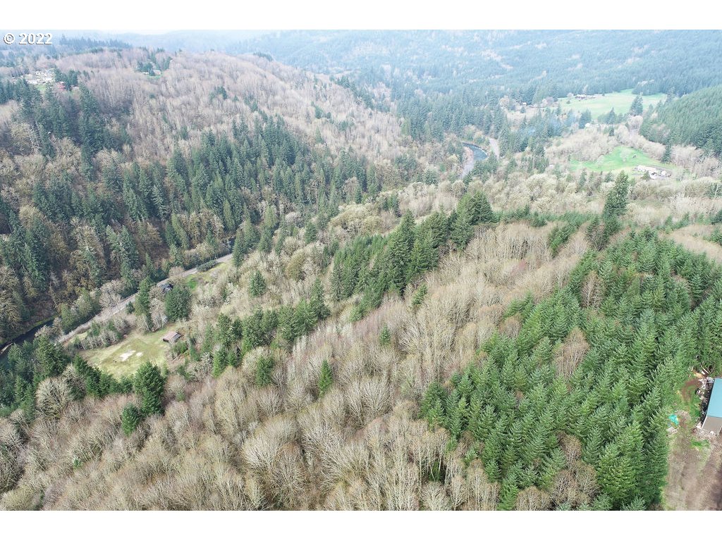 0 Mountain View Road Kalama, WA 98625 - Photo 21 of 30 a view of a forest with trees in the background