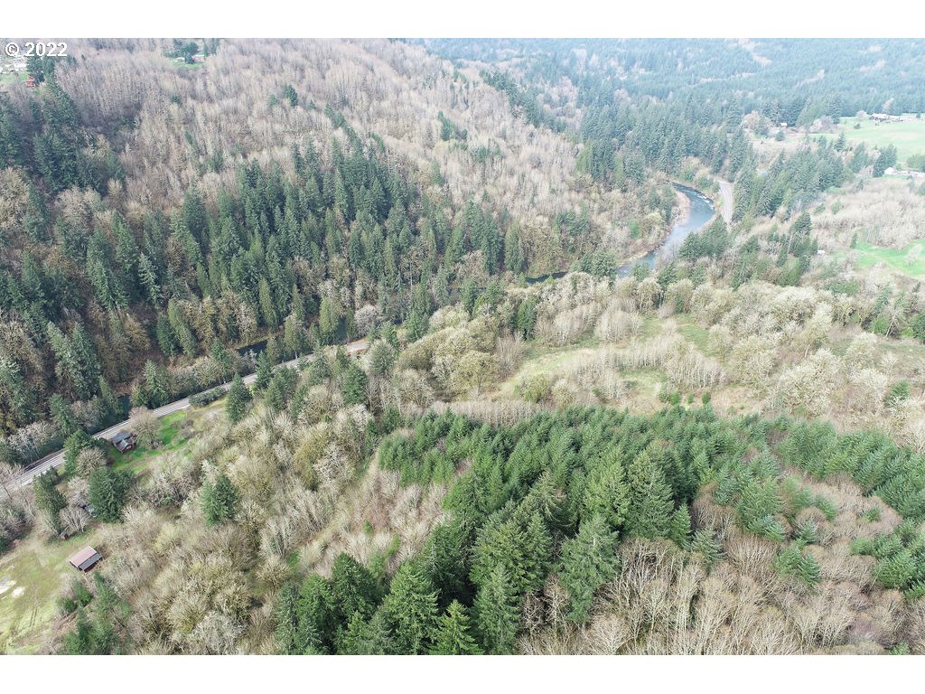 0 Mountain View Road Kalama, WA 98625 - Photo 23 of 30 a view of a field of grass and trees