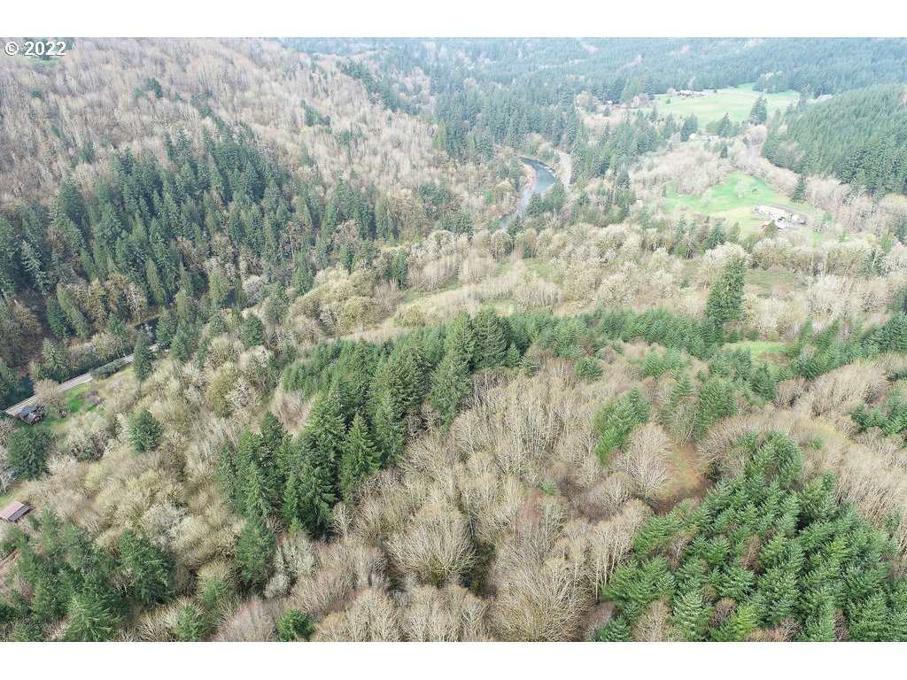0 Mountain View Road Kalama, WA 98625 - Photo 24 of 30 a view of a dry yard