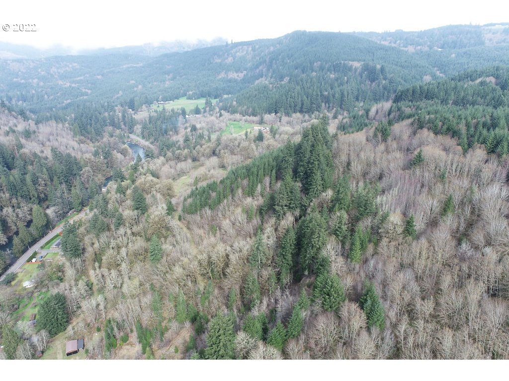 0 Mountain View Road Kalama, WA 98625 - Photo 27 of 30 a view of a dry yard