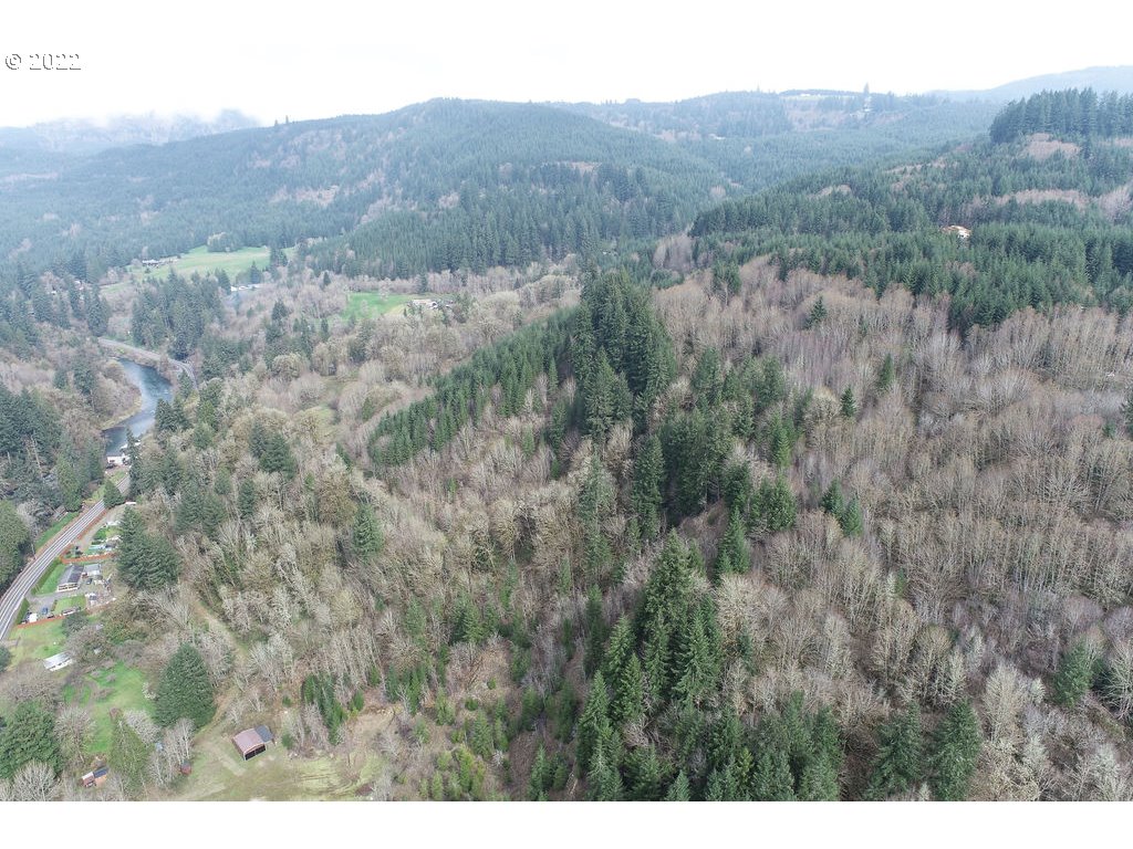 0 Mountain View Road Kalama, WA 98625 - Photo 28 of 30 a view of a lush green forest with lush green forest