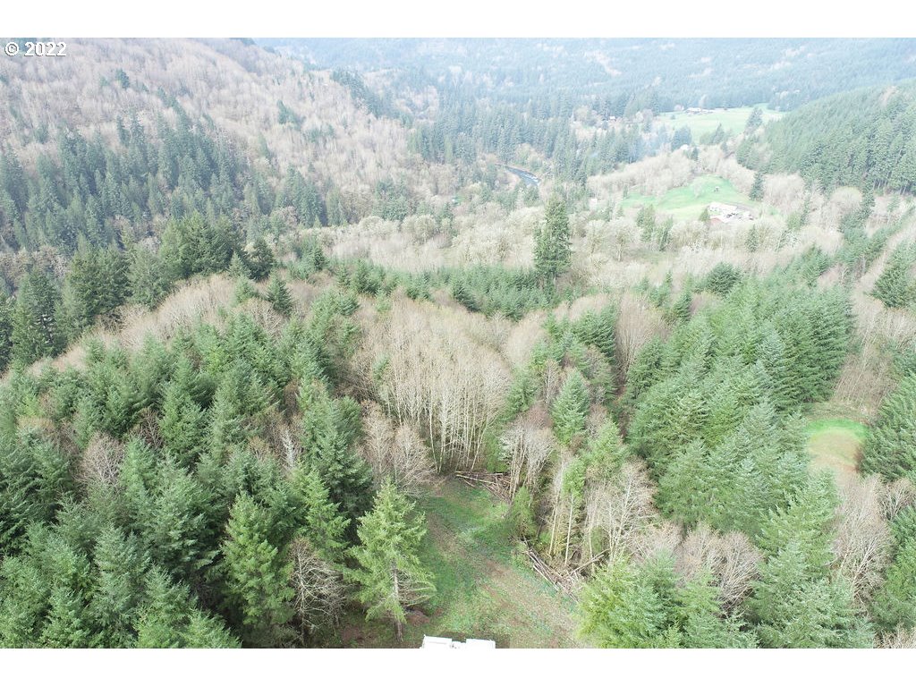 0 Mountain View Road Kalama, WA 98625 - Photo 29 of 30 a view of a forest with trees in the background