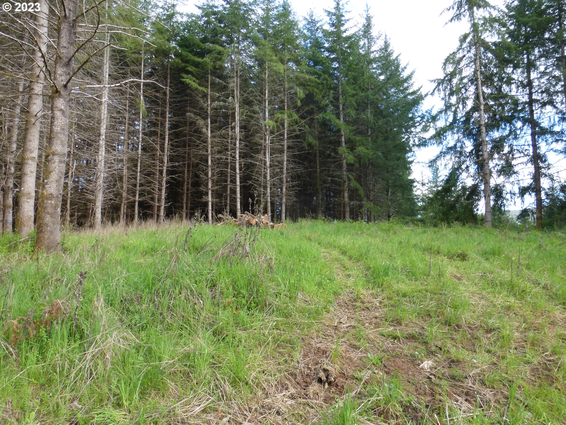 0 Mountain View Road Kalama, WA 98625 - Photo 3 of 30 a view of a garden