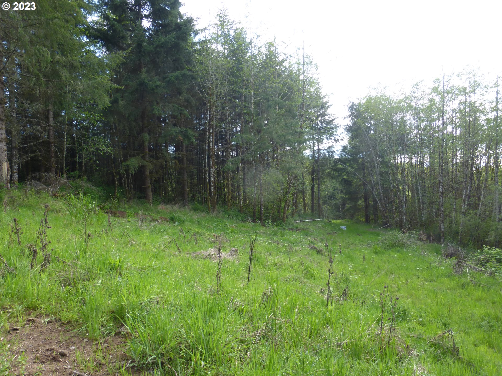 0 Mountain View Road Kalama, WA 98625 - Photo 4 of 30 a view of a backyard