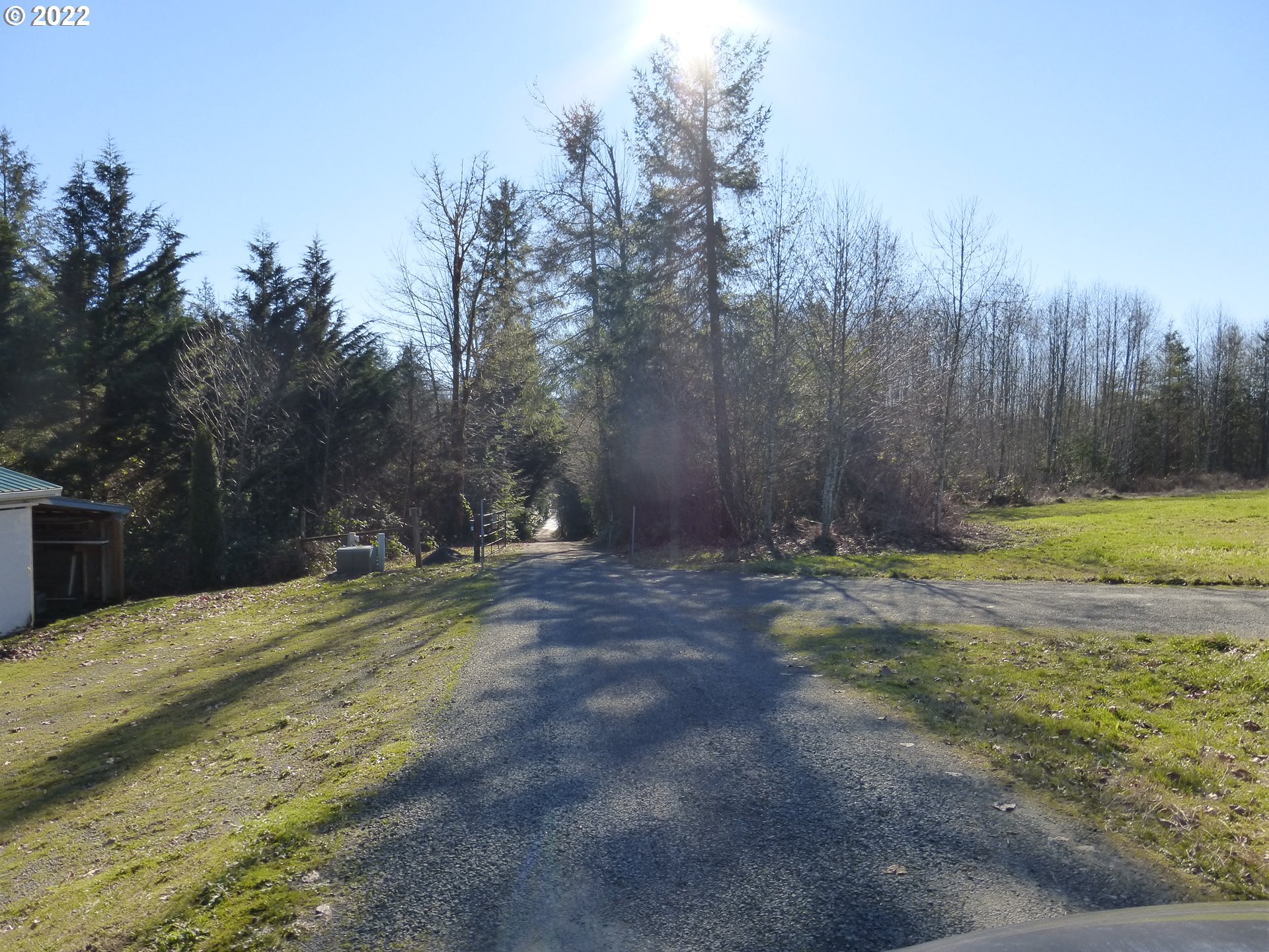 0 Mountain View Road Kalama, WA 98625 - Photo 6 of 30 a view of a backyard with large trees