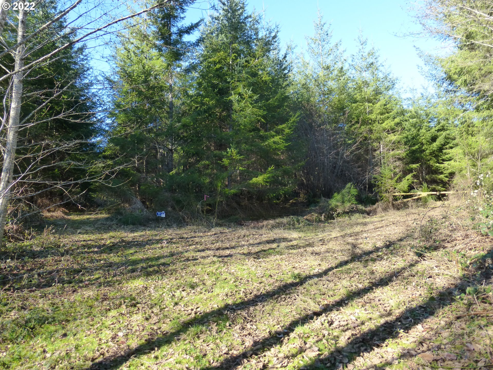 0 Mountain View Road Kalama, WA 98625 - Photo 7 of 30 a view of a yard with plants and trees