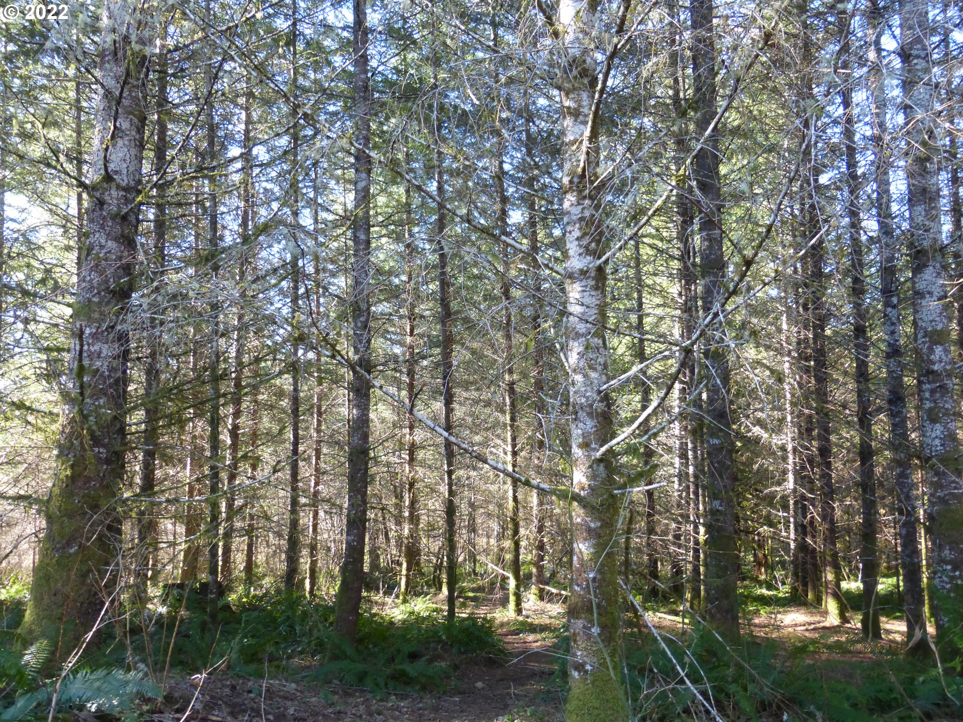 0 Mountain View Road Kalama, WA 98625 - Photo 10 of 30