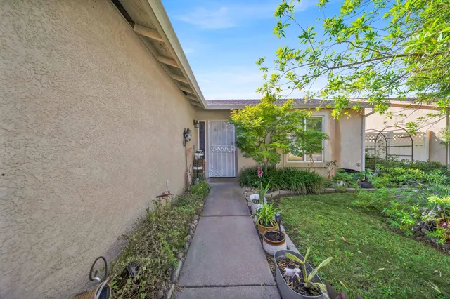 a view of a pathway with flower plants