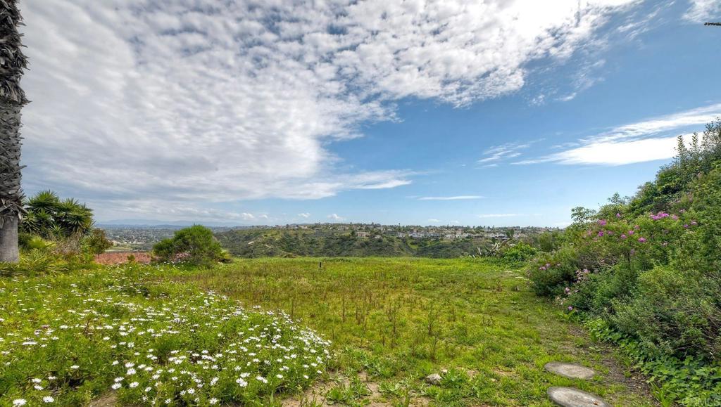 1729 Gascony Road Encinitas, CA 92024 - Photo 27 of 37 Views of HOA property and beyond behind the Home
