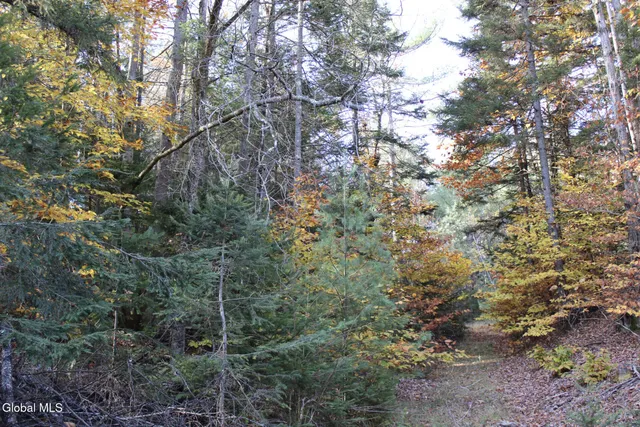 $125,000 | Undisclosed Address, Stony Creek, NY 12878