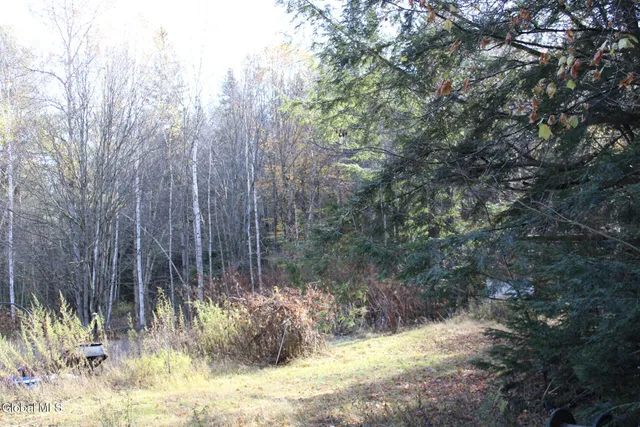 $125,000 | Undisclosed Address, Stony Creek, NY 12878