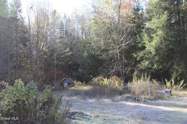 $125,000 | Undisclosed Address, Stony Creek, NY 12878