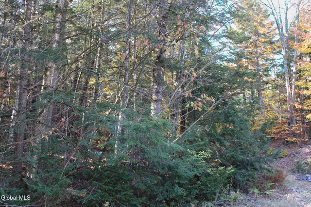 $125,000 | Undisclosed Address, Stony Creek, NY 12878