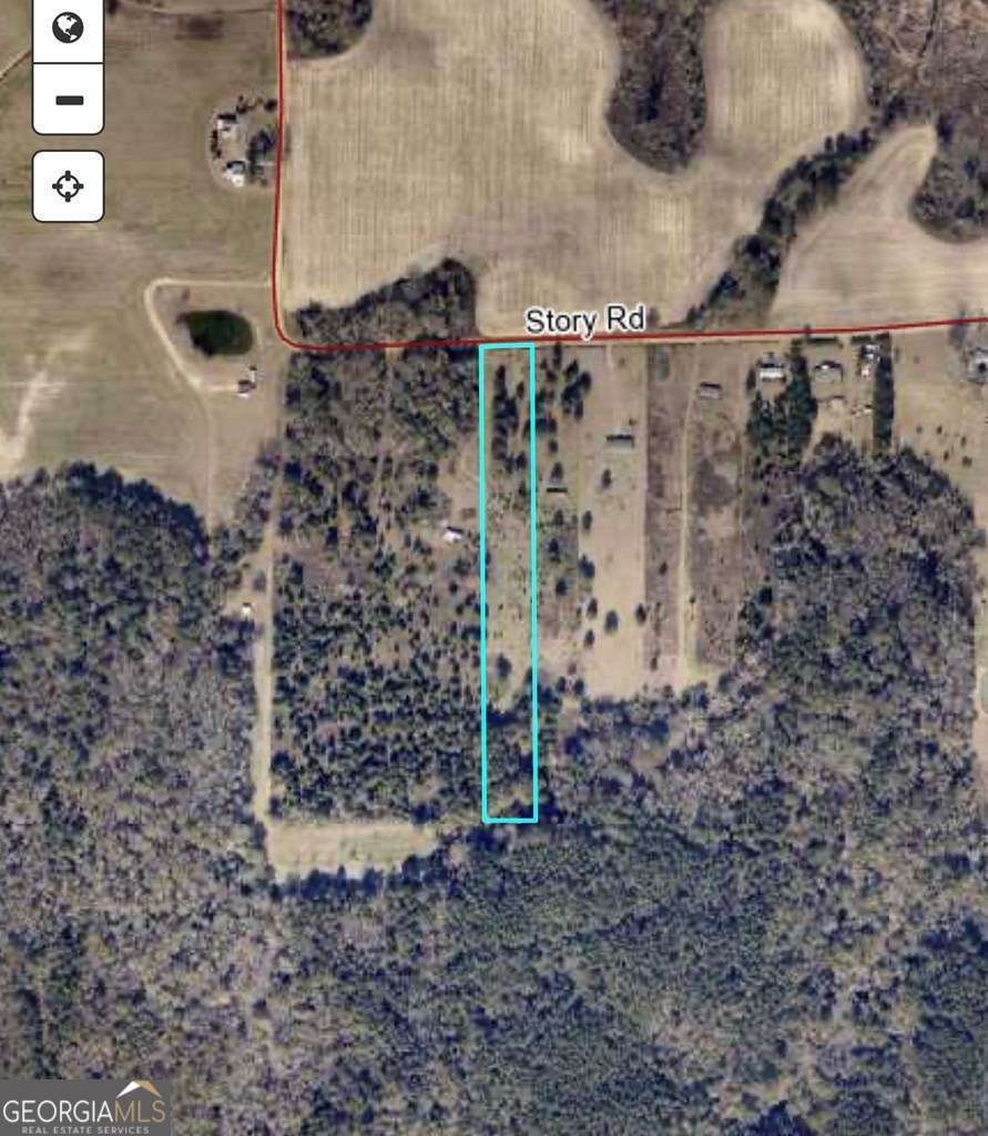 0 Story Road Arabi, GA 31712 - Photo 2 of 3